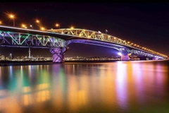 [2024] DU LỊCH NEW ZEALAND 7N6Đ MH VÙNG ĐẤT CỦA DẢI MÂY TRẮNG