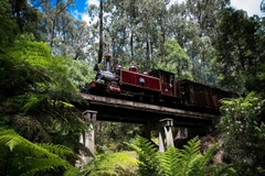 [2025] ÚC 7N6Đ VNA MELBOURNE - CANBERRA – SYDNEY