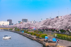 [2025] CUNG ĐƯỜNG VÀNG NHẬT BẢN 6N5Đ VJ NARITA – TOKYO – YOKOHAMA – FUJI – NAGOYA – KANSAI