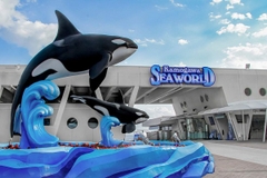 [2026] CUNG ĐƯỜNG NHẬT BẢN 5N4Đ JL THỦY CUNG KAMOGAWA SEAWORLD MÙA HÈ