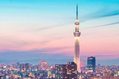 [2026] NHẬT BẢN 6N5Đ ANA KHÁM PHÁ HOKKAIDO MÙA LAVENDER