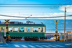 [2026] 7N6Đ JL HÀNH TRÌNH TRỌN VẸN NHỮNG SẮC MÀU NHẬT BẢN NIKKO – TOKYO – ENOSHIMA – YOKOHAMA