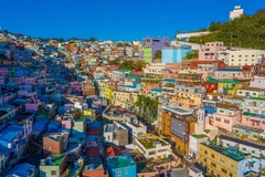 [2025] HÀN QUỐC 6N5Đ VNA BUSAN - SEOUL