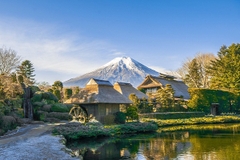 [2025] NHẬT BẢN 5N4Đ JL TOKYO - THỦY CUNG KAMOGAWA - DISNEYLAND