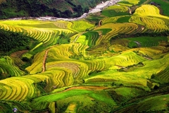 3N2Đ HƯNG YÊN - HÀ NỘI – ĐÈO KHAU PHẠ - TÚ LỆ - TRẠM TẤU