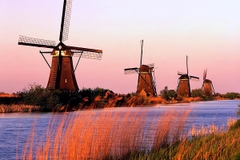 [2025] THƯỞNG THỨC LỄ HỘI HOA KEUKENHOF 9N8Đ VNA ĐỨC–HÀ LAN–BỈ–LUXEMBOURG–PHÁP