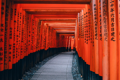 [2026] CUNG ĐƯỜNG VÀNG NHẬT BẢN 6N5Đ VN NARA–OSAKA–KYOTO–PHÚ SĨ–TOKYO