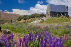 [2024] THƯỞNG NGOẠN NEWZEALAND 11N10Đ SQ BẮC ĐẢO & NAM ĐẢO