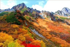 [2024] MÙA THU TATEYAMA KUROBE 6N5Đ VNA NHẬT BẢN