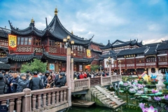 [2026] DU NGOẠN TRUNG QUỐC 5N4Đ MU THƯỢNG HẢI-TÂY Ô TRẤN–HÀNG CHÂU–HỒ THANH SƠN