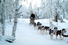 [2026] KHÁM PHÁ THÁNH HỒ BAIKAL-SIBERIA 8N7Đ IO IRKUTSK-LISTVYANKA-ĐẢO OLKHON