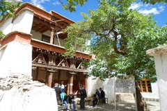 [2024] ẤN ĐỘ 12N12Đ VJ LEH - NUBRA - HANLE - PANGONG - TSOMORIRI - DELHI