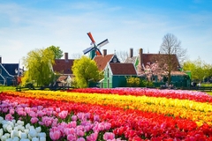 [2025] THƯỞNG THỨC LỄ HỘI HOA KEUKENHOF 9N8Đ VNA ĐỨC–HÀ LAN–BỈ–LUXEMBOURG–PHÁP