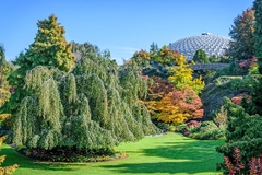 [2024] LIÊN TUYẾN CANADA MÙA THU VÀNG 11N10Đ EVA