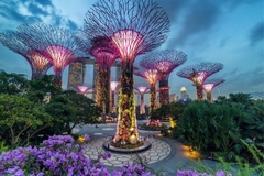 [2024] HÀ NỘI – SINGAPORE – MALAYSIA 5N4Đ VNA