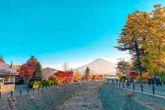 [2024] NHẬT BẢN MÙA LÁ ĐỎ 6N5Đ VJ OSAKA  – NARA - KYOTO - NÚI PHÚ SĨ - TOKYO