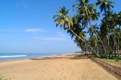 [2026] 7N6Đ VNA SRI LANKA – ĐẢO QUỐC NGỌC ẤN ĐỘ DƯƠNG