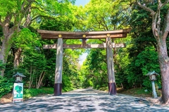 [2025] KHÁM PHÁ HOKKAIDO MÙA THU 6N5Đ NH SAHIKAWA – SAPPORO – TOKYO 