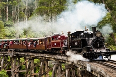 [2025] ĐÓN TẾT NGUYÊN ĐÁN TẠI NƯỚC ÚC 7N6Đ SYDNEY – CANBERRA - MELBOURNE