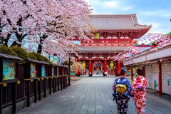 [2025] NHẬT BẢN 5N4Đ JL TOKYO - THỦY CUNG KAMOGAWA - DISNEYLAND