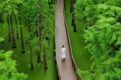 [2026] DU NGOẠN TRUNG QUỐC 5N4Đ MU THƯỢNG HẢI-TÂY Ô TRẤN–HÀNG CHÂU–HỒ THANH SƠN