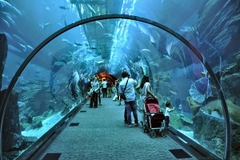 [2025] DU XUÂN ẤT TỴ TẠI DUBAI 6N5Đ EK DUBAI - SAFARI - ABU DHABI