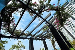 [Chip’s House] Homestay Ba Đình - Hà Nội