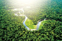 [2025] KHÁM PHÁ BRAZIL - ARGENTINA 17N16Đ EK RỪNG AMAZON-SÔNG BĂNG PERITO MORENO