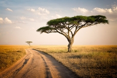 [2026] KHÁM PHÁ CHÂU PHI 10N9Đ ET TIẾNG GỌI NƠI HOANG DÃ KENYA – TANZANIA