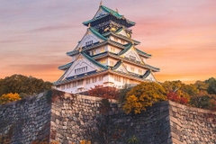 [2025] NHẬT BẢN 6N5Đ JL TOKYO - BẢO TÀNG HARRY POTTER - NÚI PHÚ SĨ
