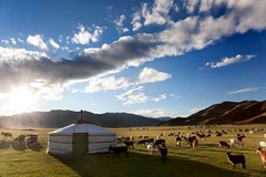 [2023] MÔNG CỔ - BẢN HÙNG CA CỦA THẢO NGUYÊN BẤT TẬN 8N7Đ MONGOLIAN AIR