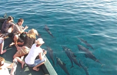 [2023] MALDIVES – THIÊN ĐƯỜNG TRONG LÒNG ẤN ĐỘ DƯƠNG 5N4D NGÀY 01.05-05.05.2023