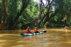 [2026] QUẦN ĐẢO NGOÀI HÀNH TINH GALAPAGOS & SÔNG AMAZON 14N10Đ ECUADOR – PERU