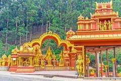 [2026] 7N6Đ VNA SRI LANKA – ĐẢO QUỐC NGỌC ẤN ĐỘ DƯƠNG