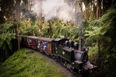 [2025] THƯỞNG NGOẠN MÙA THU 10N9Đ VNA ÚC - NEW ZEALAND