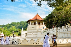 [2026] 7N6Đ VNA SRI LANKA – ĐẢO QUỐC NGỌC ẤN ĐỘ DƯƠNG