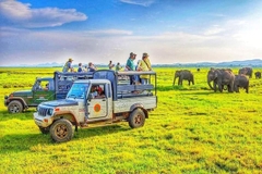 [2026] 6N5Đ VNA KHÁM PHÁ HÒN NGỌC ẤN ĐỘ DƯƠNG - SRI LANKA