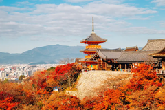 [2026] 6N5Đ VN TRẢI NGHIỆM MÙA THU NHẬT BẢN  OSAKA–KYOTO–PHÚ SĨ–TOKYO