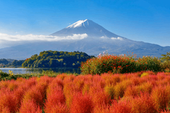 [2026] 6N5Đ VN CUNG ĐƯỜNG VÀNG NHẬT BẢN NARA–OSAKA–KYOTO–NAGOYA–PHÚ SĨ–TOKYO