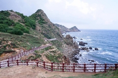 [2022] CHÙM TOUR TẾT NHÂM DẦN  HÀ NỘI - QUY NHƠN - GHỀNH RÁNG TIÊN SA - GHỀNH ĐÁ ĐĨA - BÃI XÉP - SAFARI WORLD - EO GIÓ - THÁP ĐÔI  4N3D