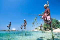 [2022] Khám phá Sri Lanka- hòn ngọc Ấn Độ Dương Việt Nam-Colombo-Anuradhapura-Lion Rock-Kandy-Nuwara Elyia 6N5D