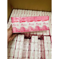 Lốc 10 gói Khăn giấy lụa rút bỏ túi Bless You Alavie
