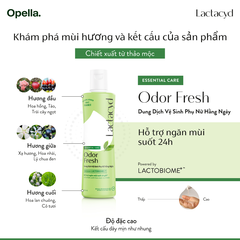 Dung dịch vệ sinh Lactacyd  250ml