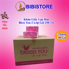 Khăn Giấy Lụa Rút 2 Lớp Bless You Alavie Gói 250 Tờ