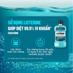 Nước súc miệng Listerine 250ml/ 750ml (Bibistore)