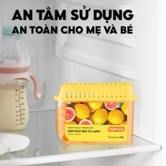 Hộp khử mùi tủ lạnh TopGia 160g