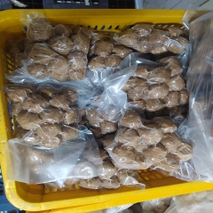Bò viên thượng hạng