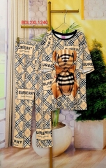 Bộ Quần Dài, Tay Ngắn 2XL - BDL2XL1240