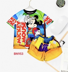 Bộ Đùi Nữ L - BN953