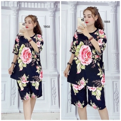 Bộ Lửng Nữ XL - SNL1868
